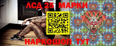 амф Моздок